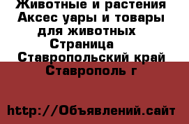 Животные и растения Аксесcуары и товары для животных - Страница 2 . Ставропольский край,Ставрополь г.